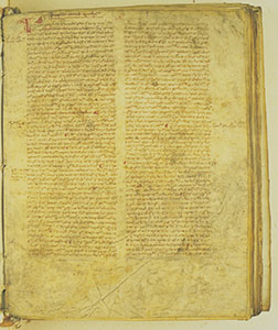 Photographs of manuscripts containing texts by Rufus